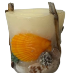 Candela aromática conchas reales ip artistic candles