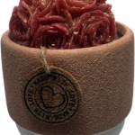 Maceta con topiario ip artistic candles