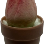 macetita con tulipán ip artistic candles