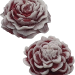 peonia pequeña ip artistic candles