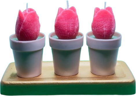 trio de tulipanes incluye bandejita ip artistic candles